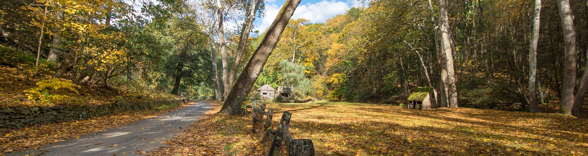 Country road in Bucks County, Pennsylvania